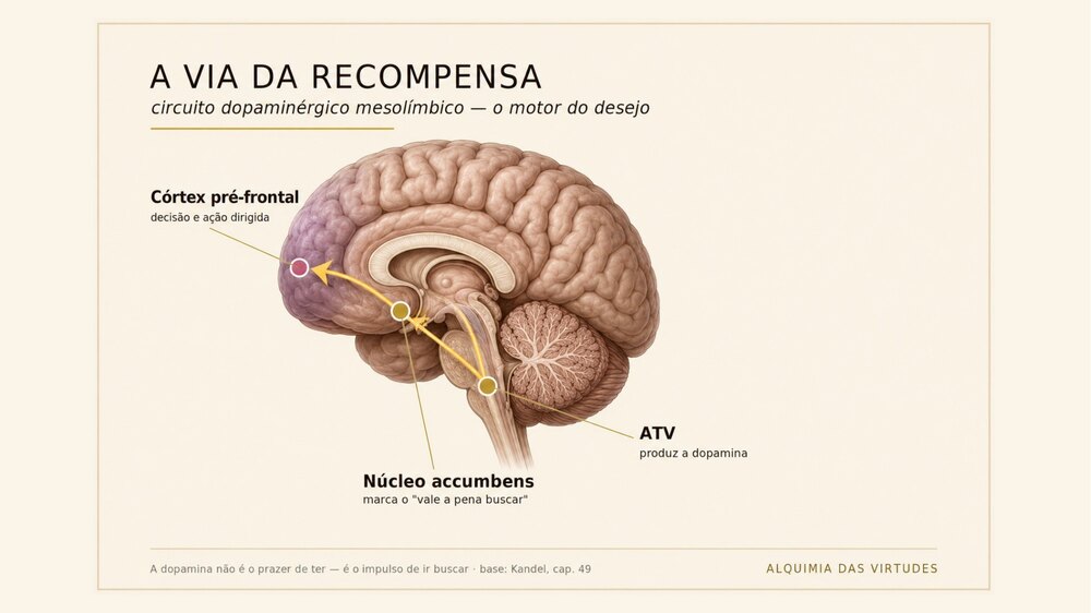 Slide: A via da recompensa